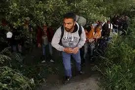 κατάλογος