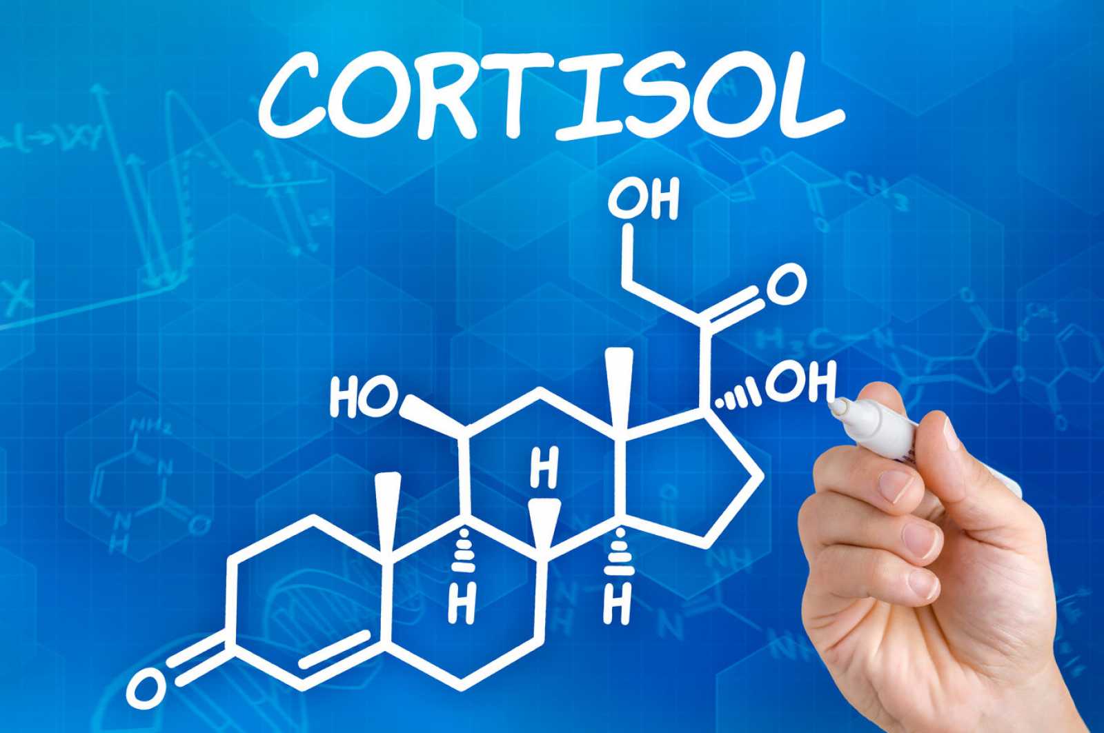 cortizoll
