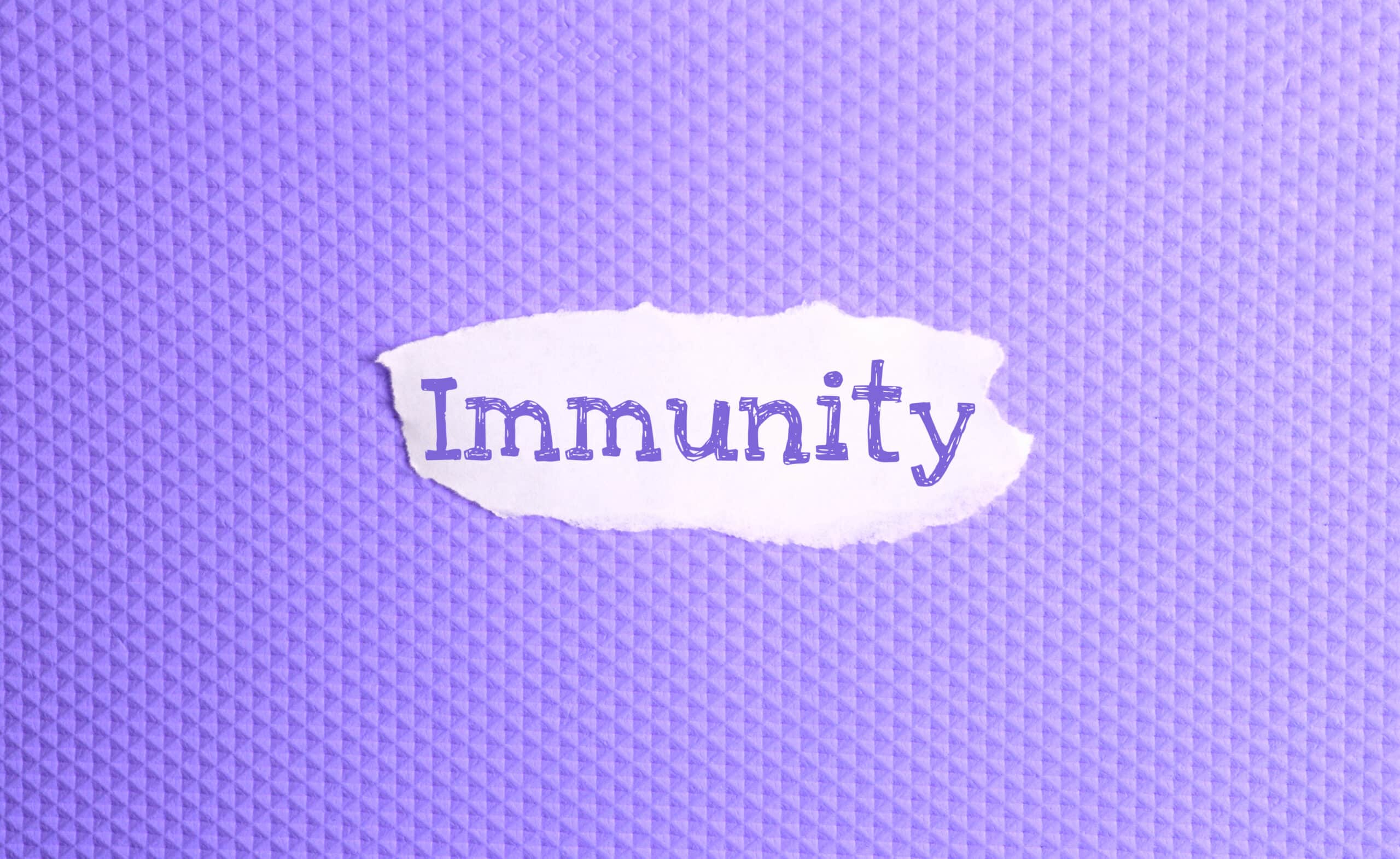 a torn paper written with inscription immunity on 2022 11 11 21 09 41 utc scaled