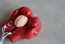 human-brain-model-on-top-of-boxing-gloves-with-cop-2023-03-31-18-19-43-utc
