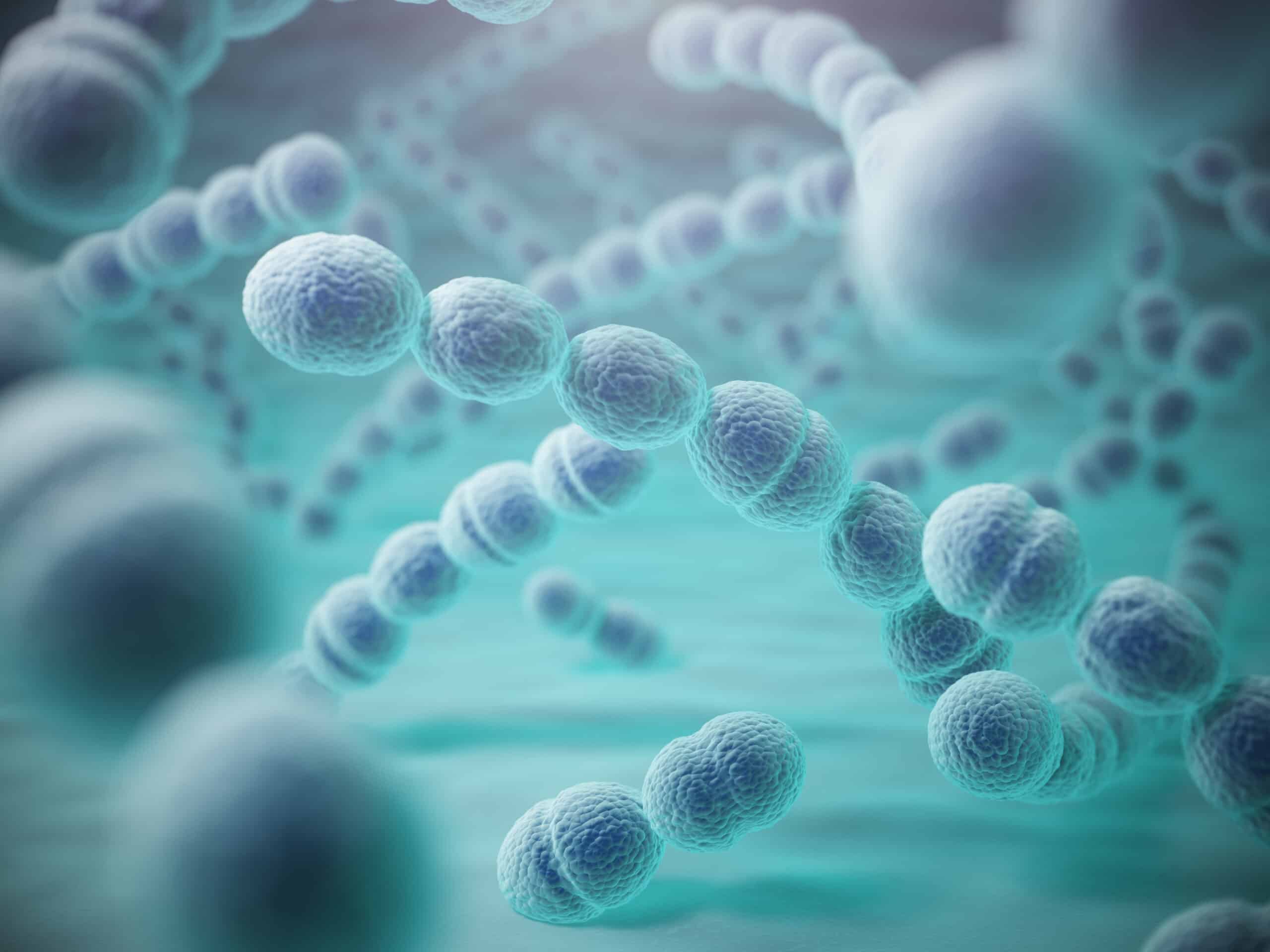 streptococcus pneumoniae or pneumococcus bacterias 2021 08 26 16 57 00 utc scaled