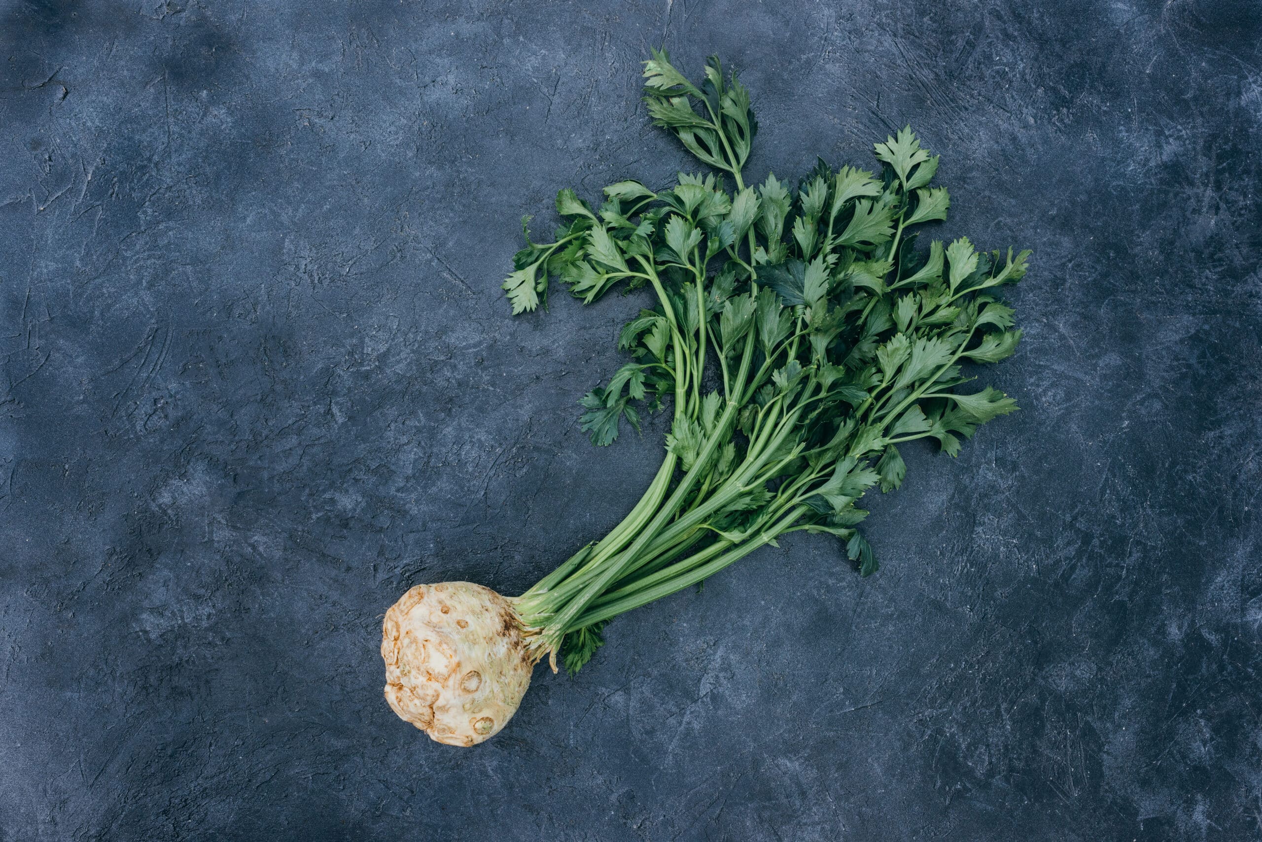 top view of fresh celery with root on black 2022 12 16 19 23 17 utc scaled