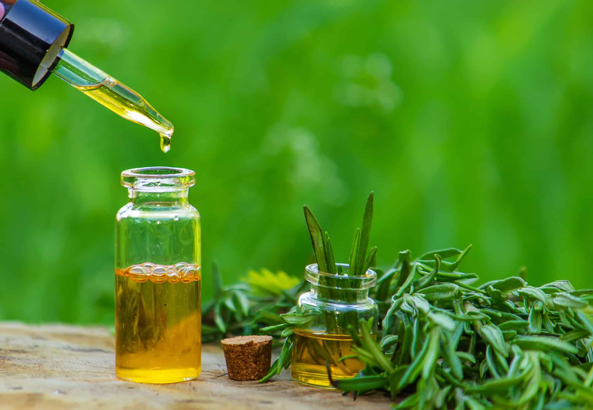 A bottle of rosemary oil on a tree stump. Essential oil, natural remedies.