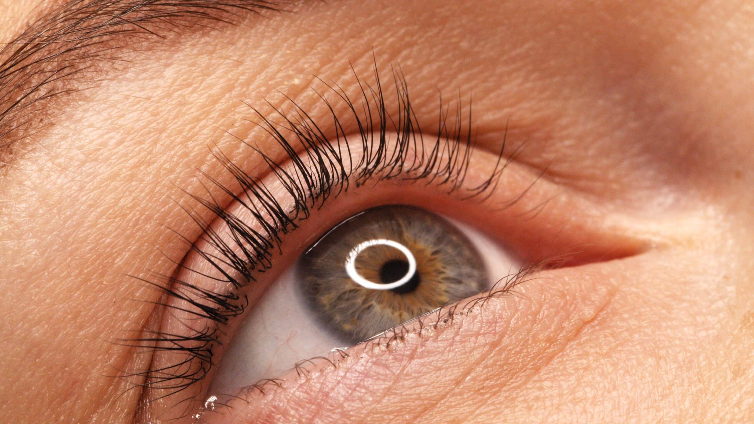 A woman's eye with long black eyelashes after lamination. Closeup opened girl's eye with eyelashes