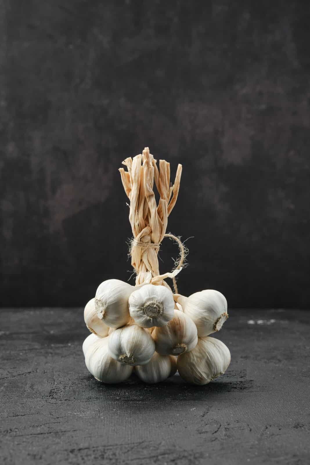 Bunch of garlic on dark background