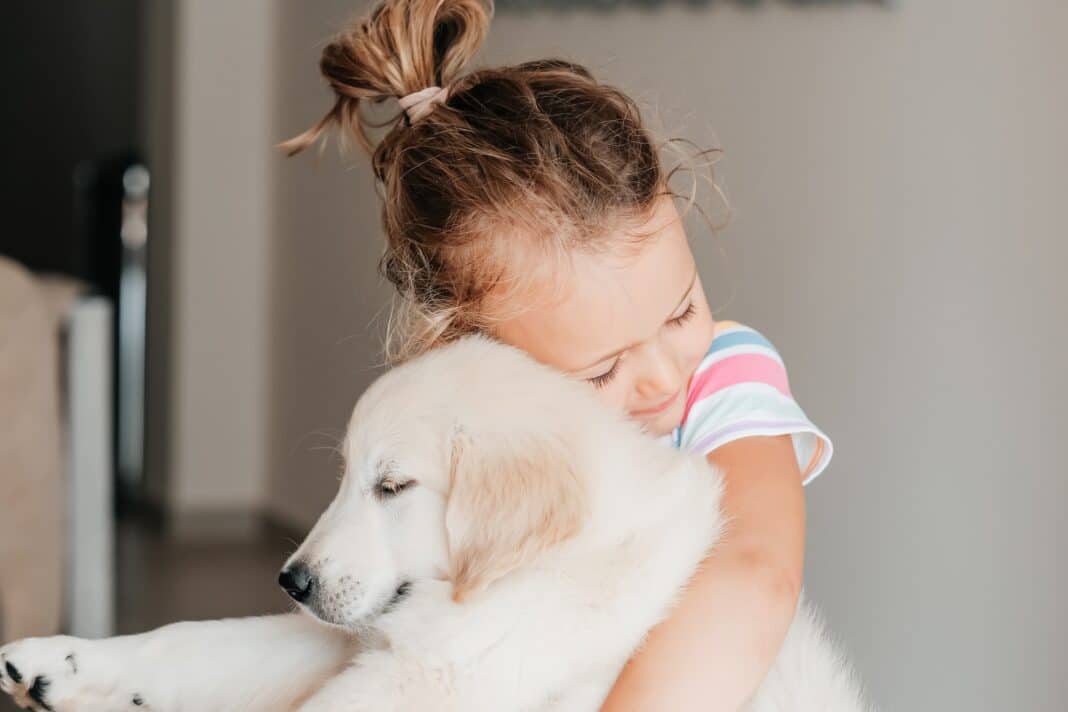 child girl play hugging dog puppy golden retriever