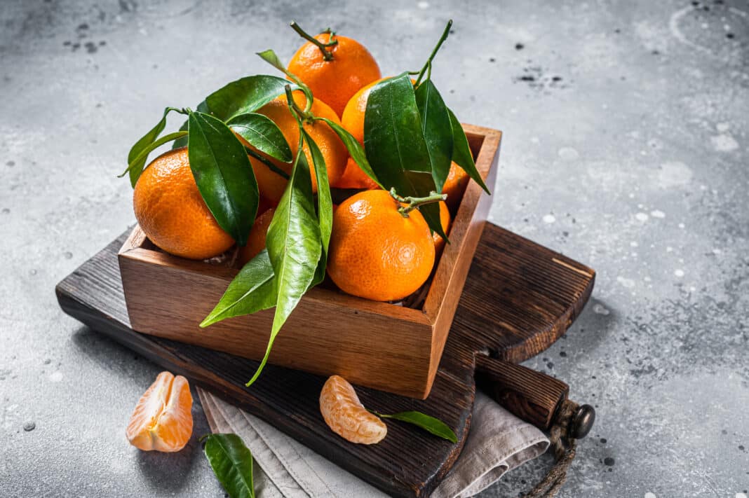 Organic Tangerines, mandarins with green leaves in wooden box. Gray background. Top view