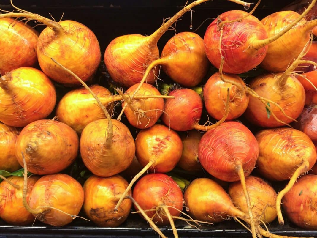 Full frame shot of golden beetroor