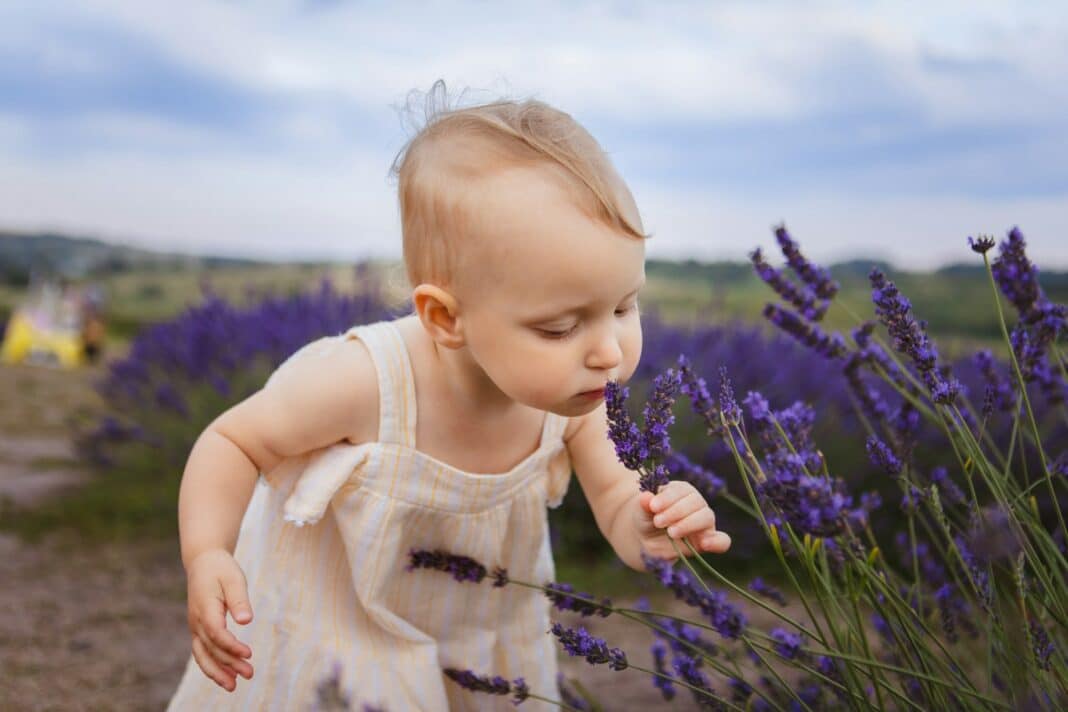 Οσμή: Γιατί μωρά και έφηβοι μυρίζουν διαφορετικά