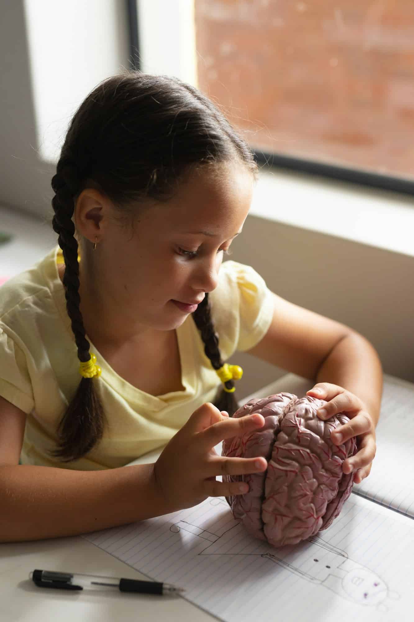 Εγκέφαλος: Μεγαλώνει από γενιά σε γενιά