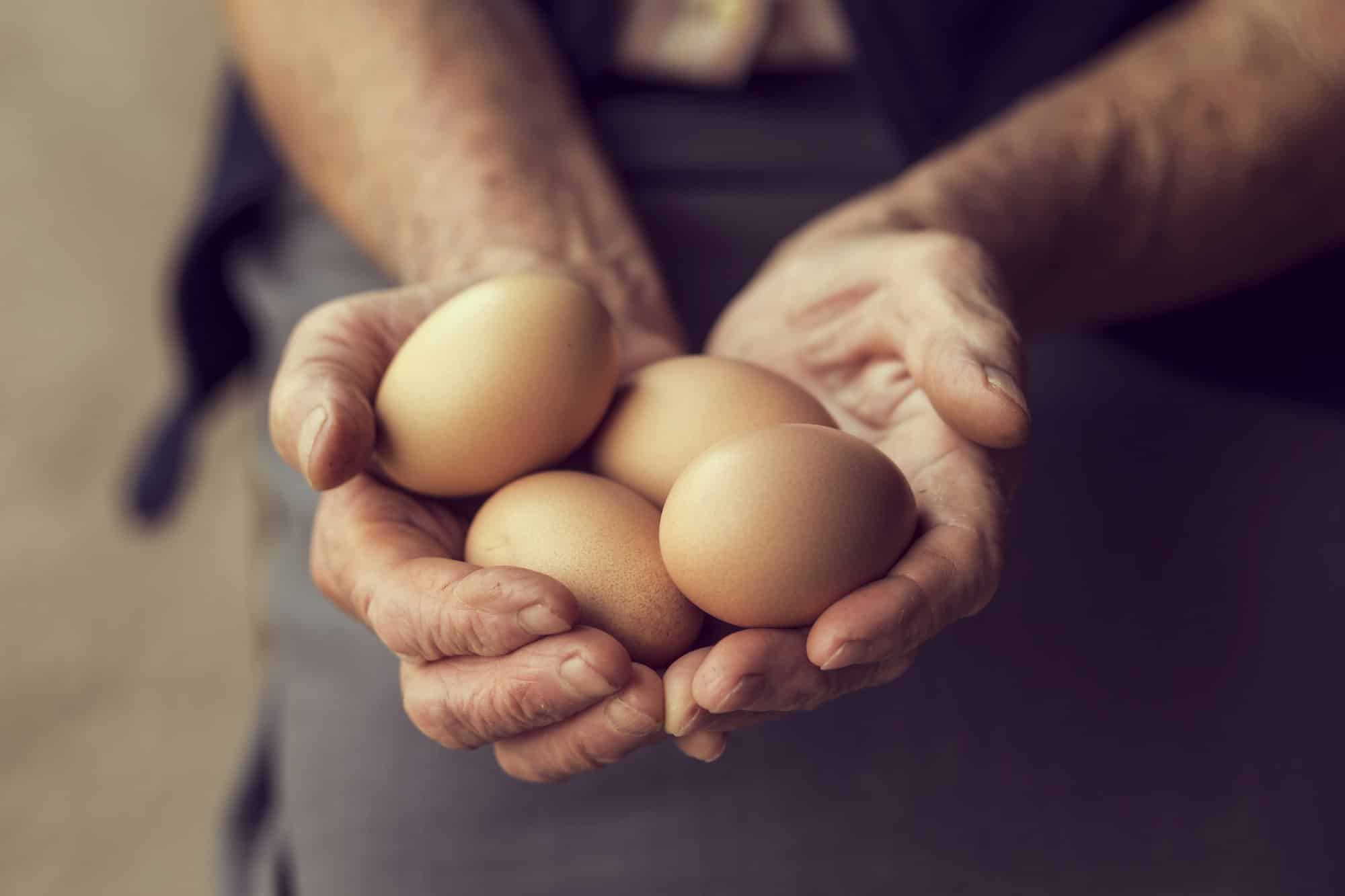 Αυγά: 7 τρόφιμα με περισσότερες πρωτεΐνες