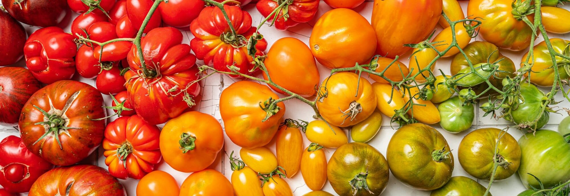 Ντομάτες: 9 Οφέλη για την υγεία